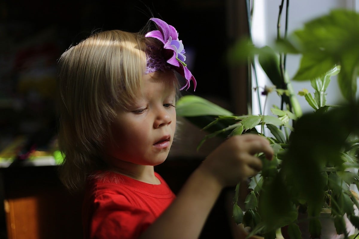 une enfant orchidée